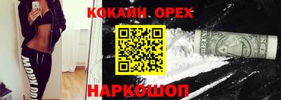 гидропоника Гусев