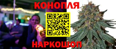 гидропоника Гусев