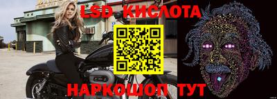 гидропоника Гусев