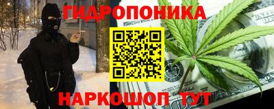 гидропоника Гусев