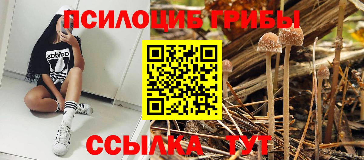 Галлюциногенные грибы мухоморы  Вход с VPN  Орехово-Зуево 